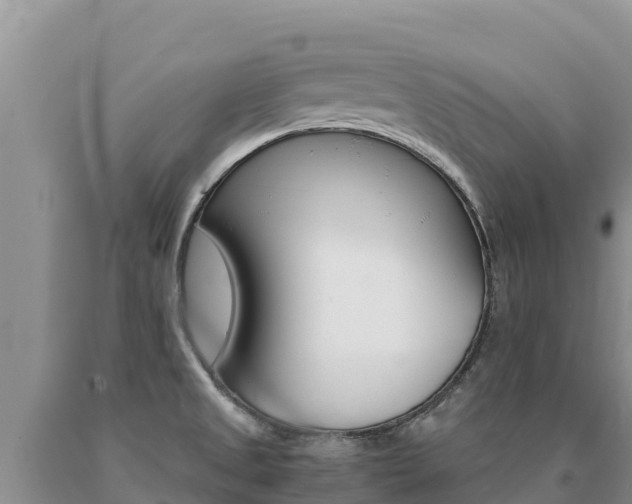 X0000091081525200708061034