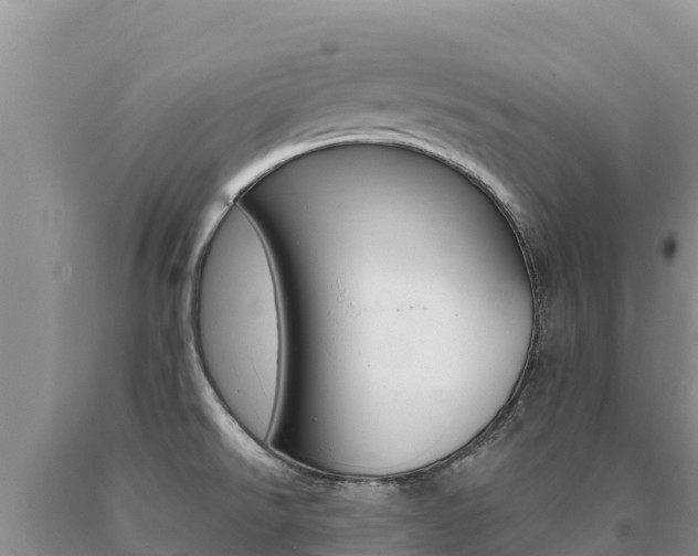 X0000091081526200708061034