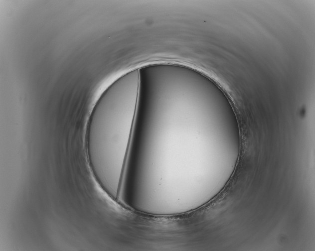 X0000091081527200708061034