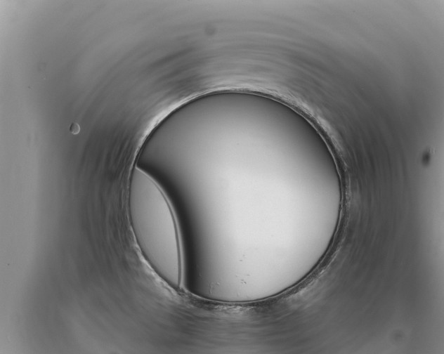 X0000091081529200708061034
