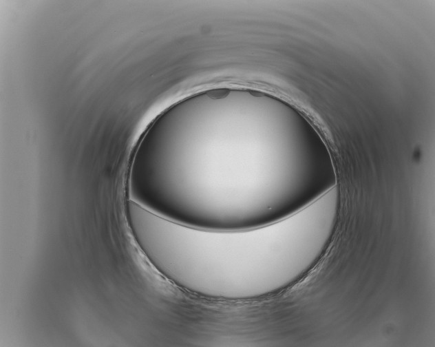 X0000091081530200708061034