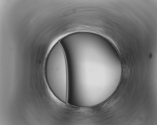 X0000091081531200708061034