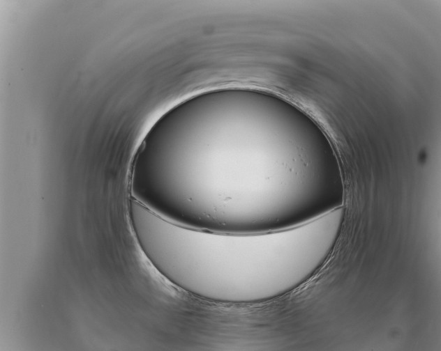 X0000091081532200708061034