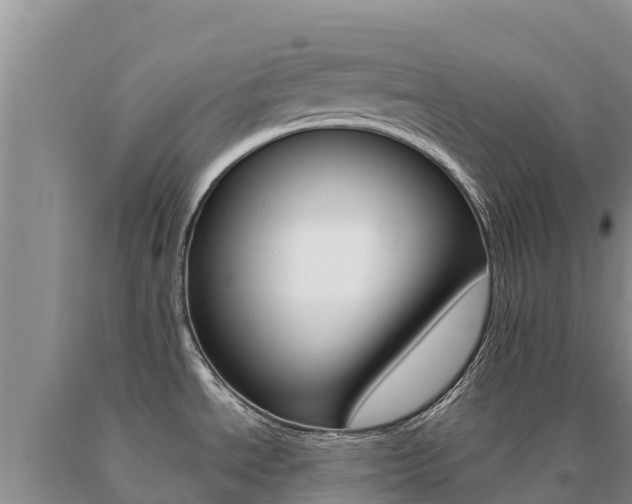 X0000091081534200708061034