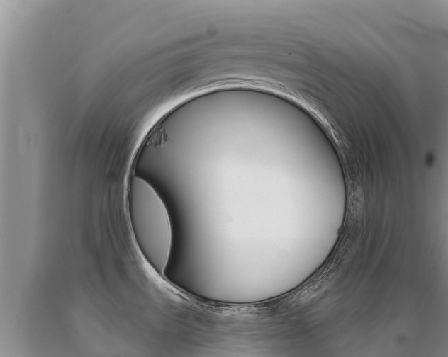 X0000091081535200708061034