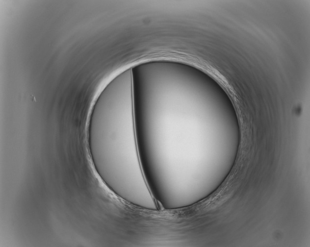 X0000091081536200708061034