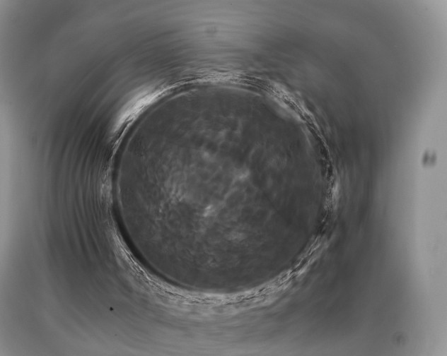 X0000091080002200708061346