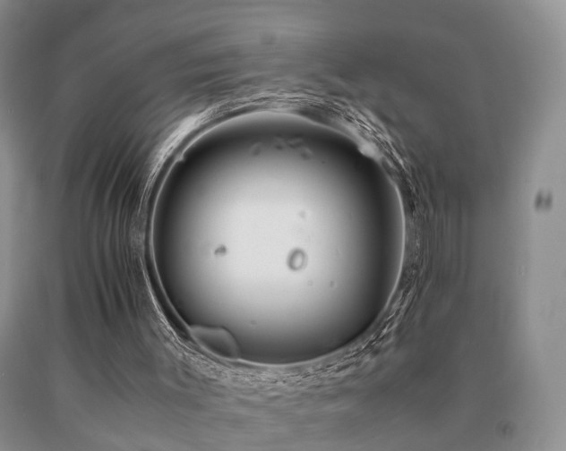 X0000091080003200708061346