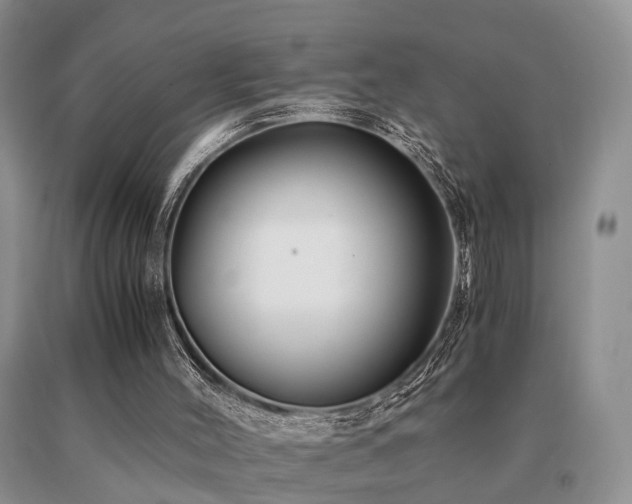 X0000091080004200708061346