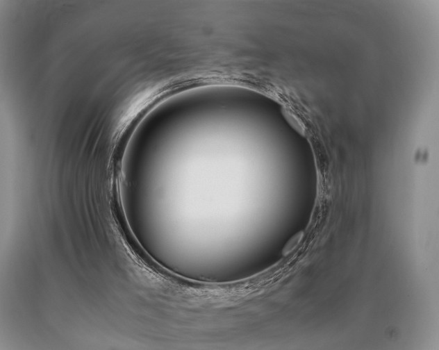 X0000091080005200708061346