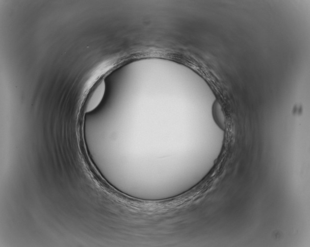 X0000091080006200708061346