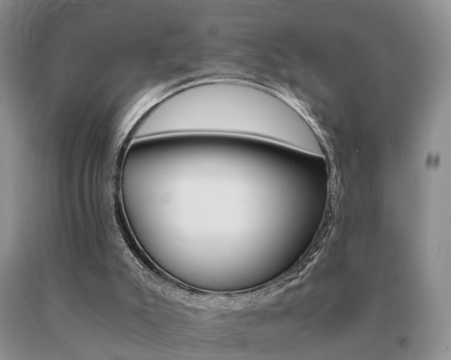 X0000091080007200708061346