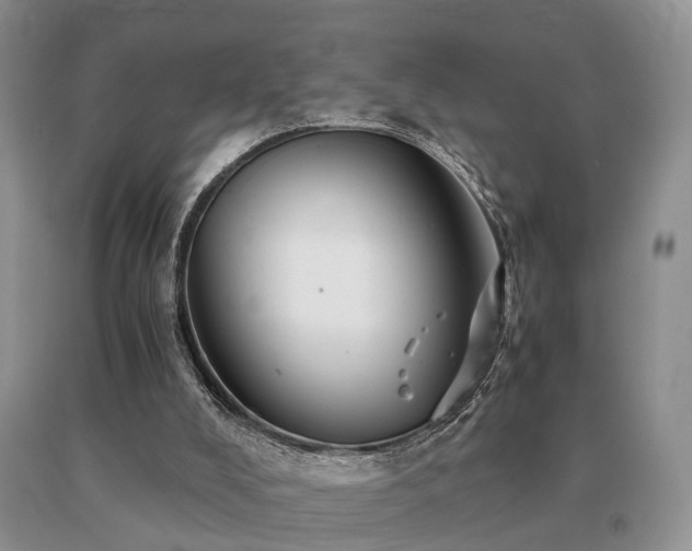 X0000091080008200708061346