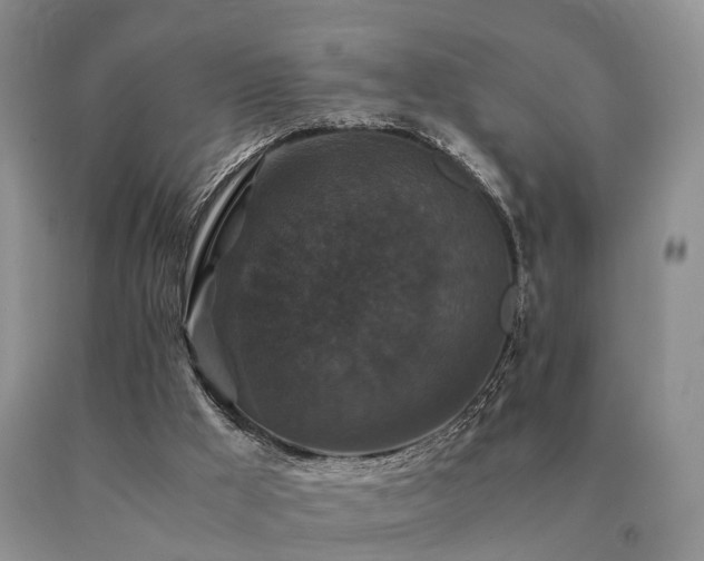 X0000091080009200708061346