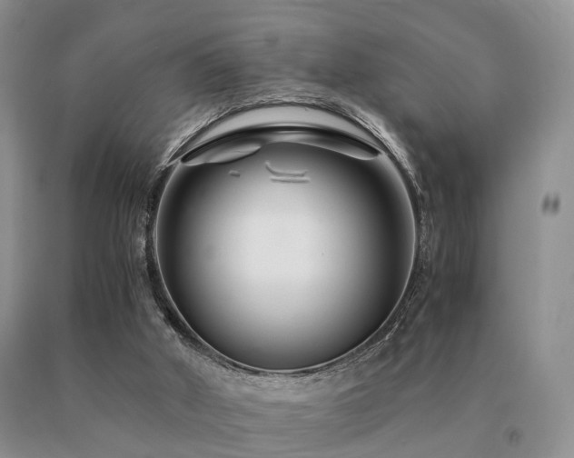 X0000091080010200708061346