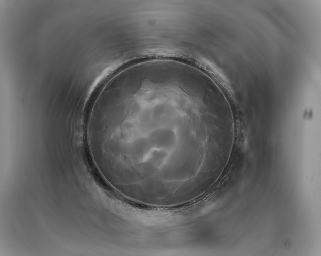 X0000091080012200708061346