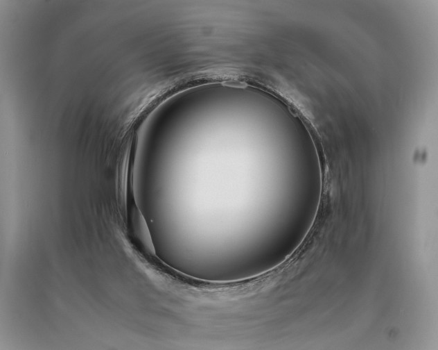 X0000091080013200708061346