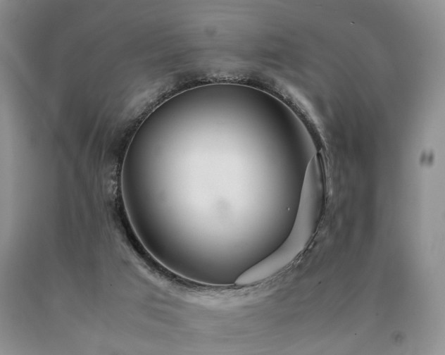 X0000091080017200708061346