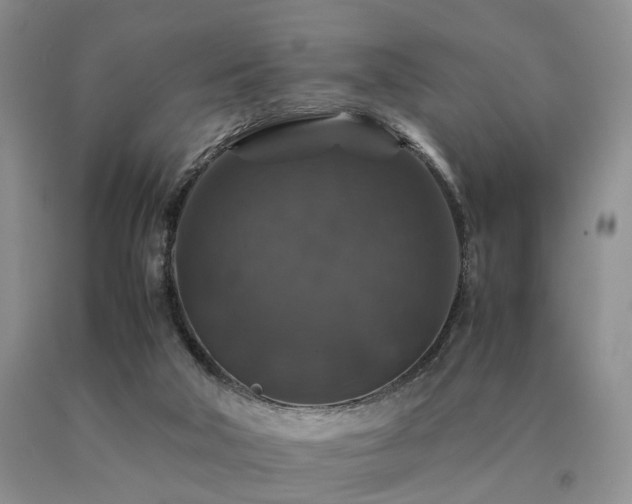 X0000091080018200708061346