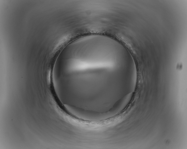 X0000091080019200708061346