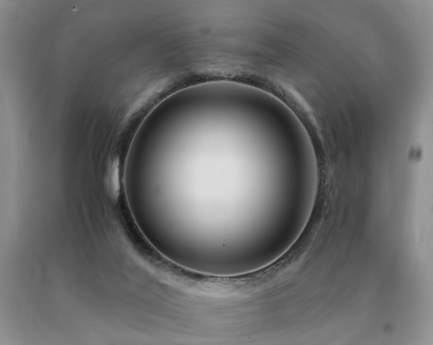 X0000091080020200708061346