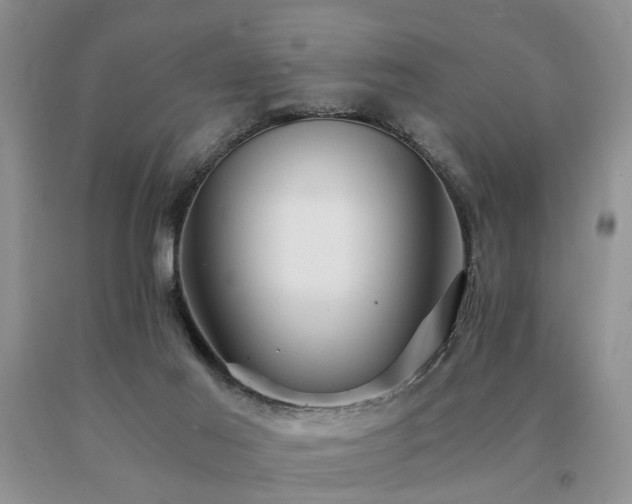 X0000091080021200708061346