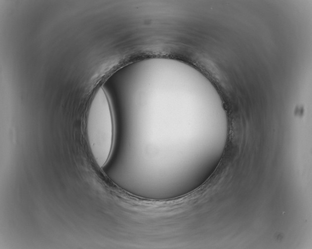 X0000091080023200708061346