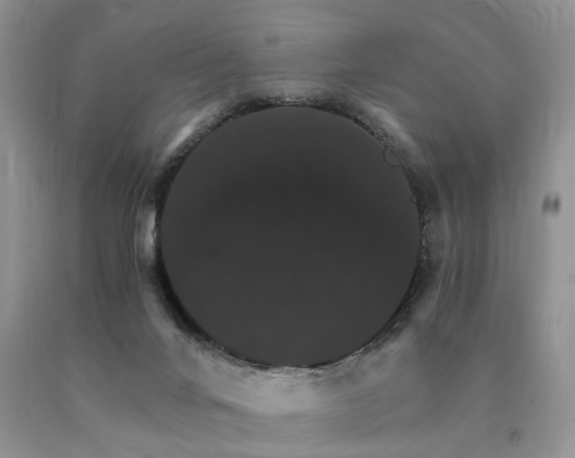 X0000091080024200708061346