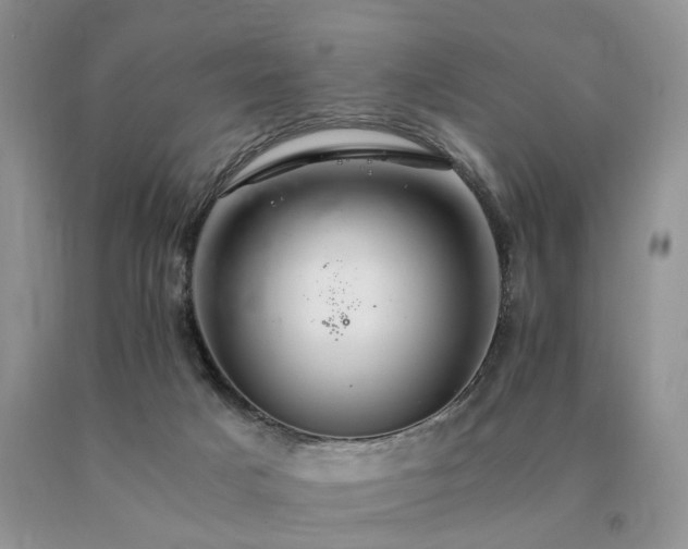 X0000091080025200708061346