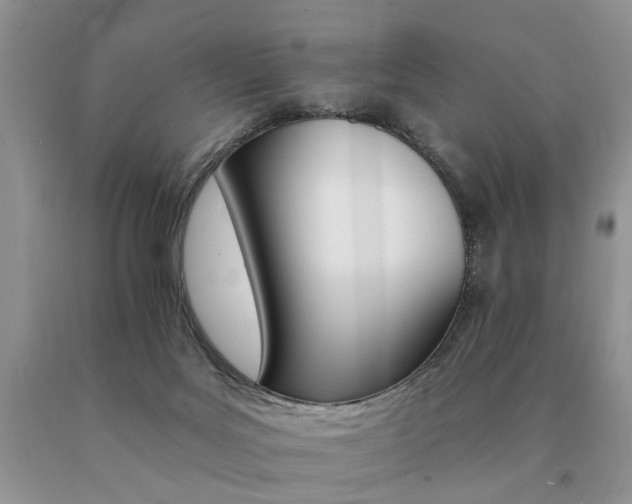 X0000091080027200708061346