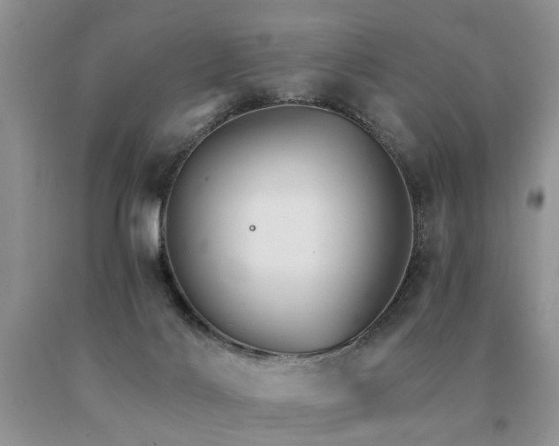 X0000091080028200708061346