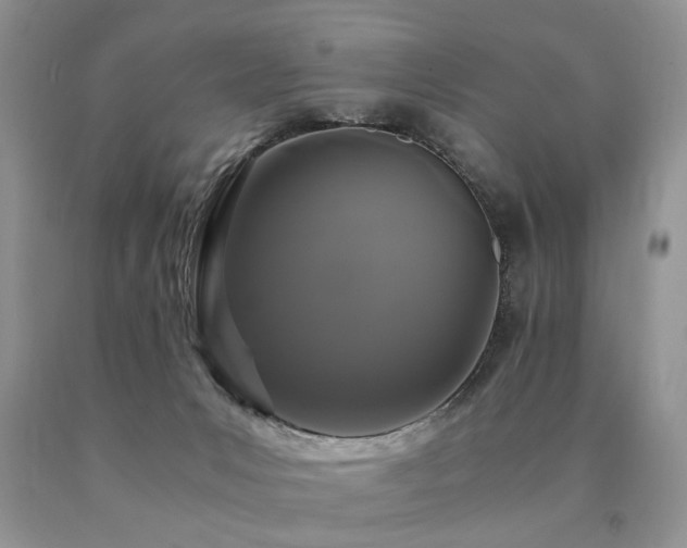 X0000091080031200708061346