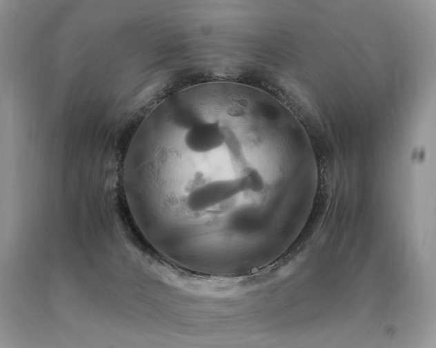 X0000091080032200708061346