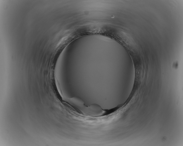 X0000091080035200708061346