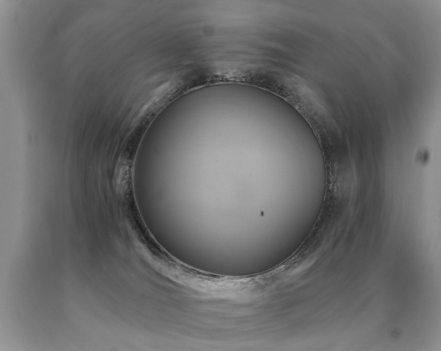 X0000091080036200708061346