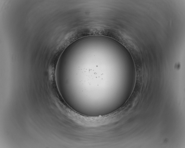 X0000091080038200708061346