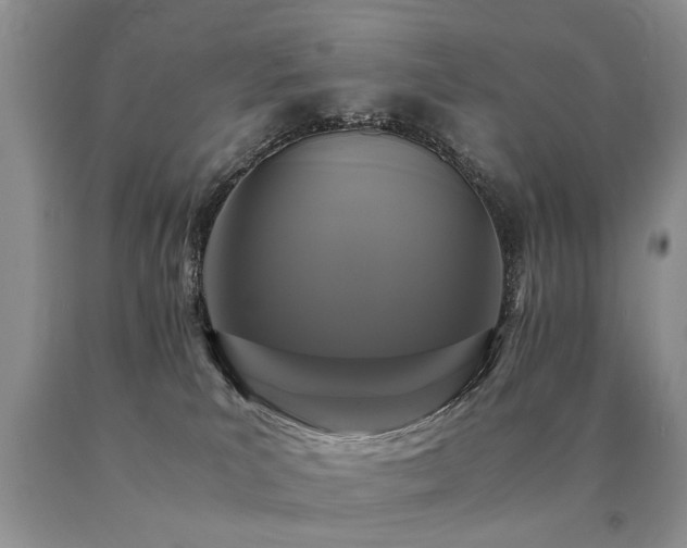 X0000091080039200708061346