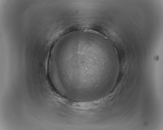 X0000091080041200708061346