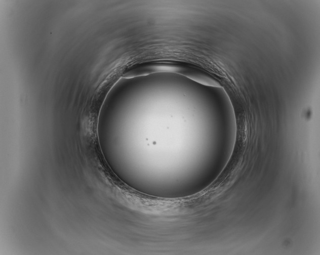 X0000091080044200708061345