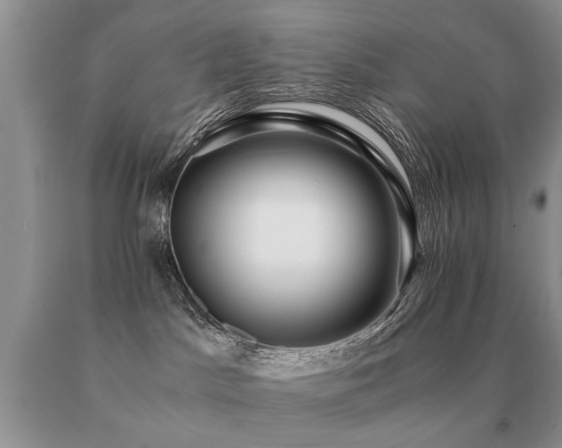 X0000091080045200708061345