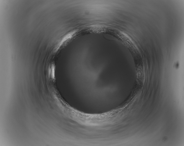 X0000091080046200708061345