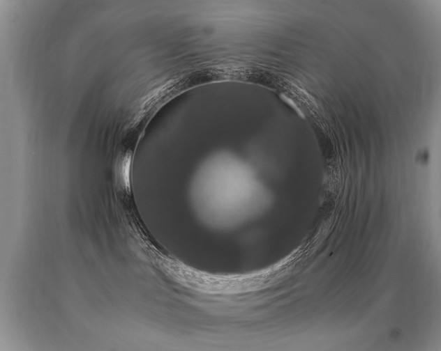 X0000091080047200708061345