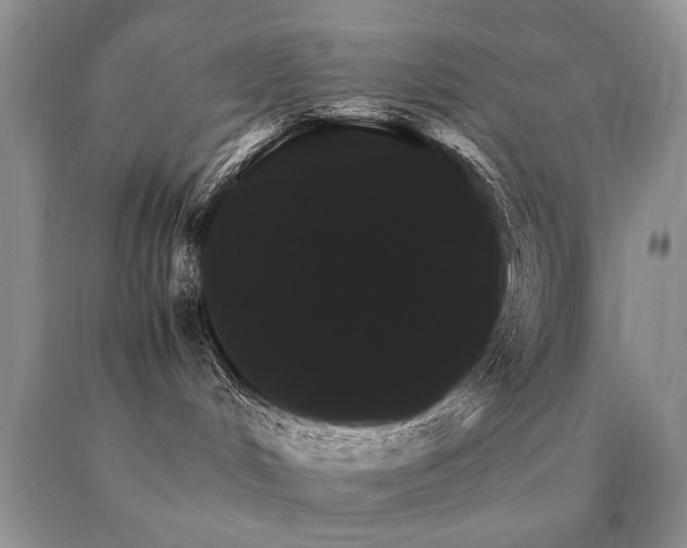 X0000091080048200708061345