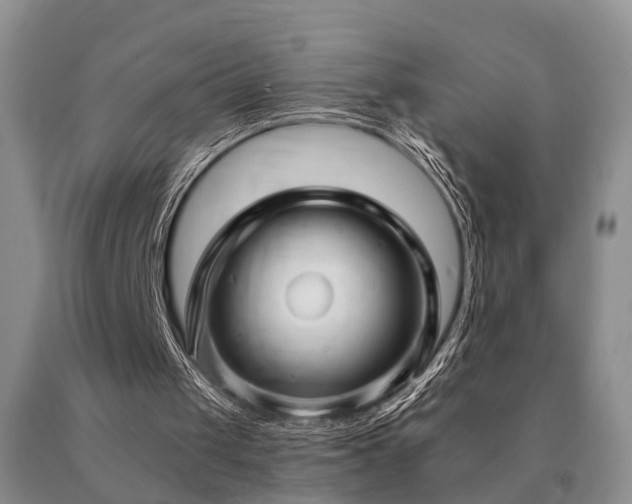 X0000091080049200708061345