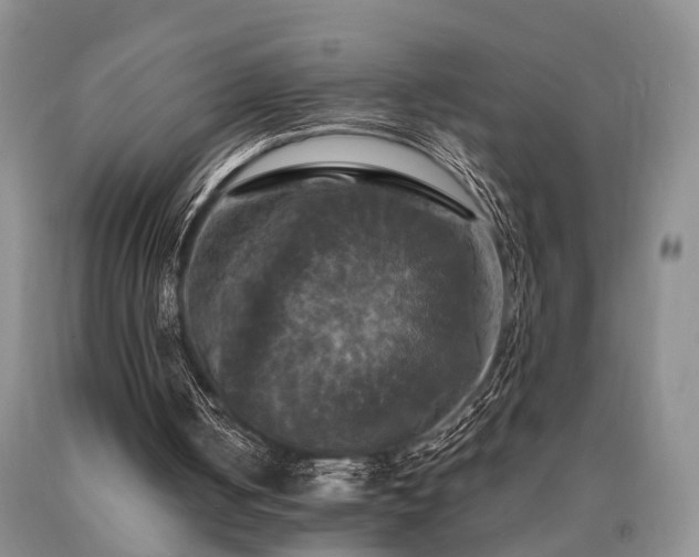 X0000091080050200708061345