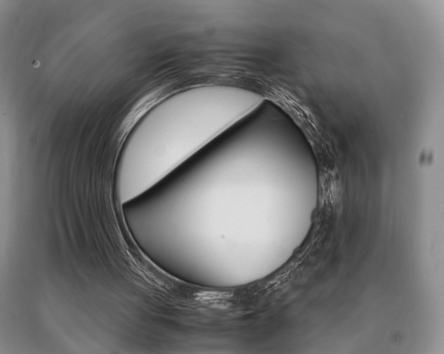 X0000091080051200708061345