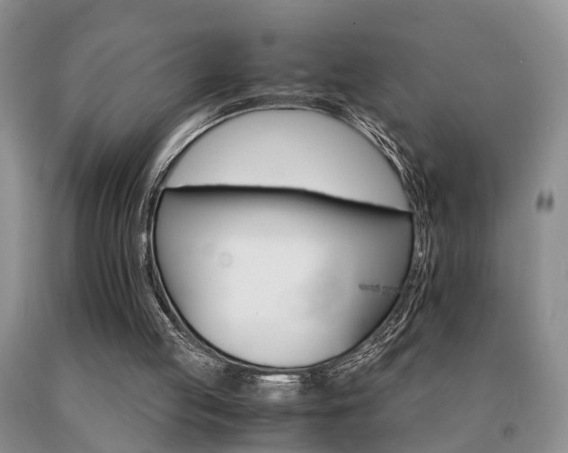 X0000091080053200708061345