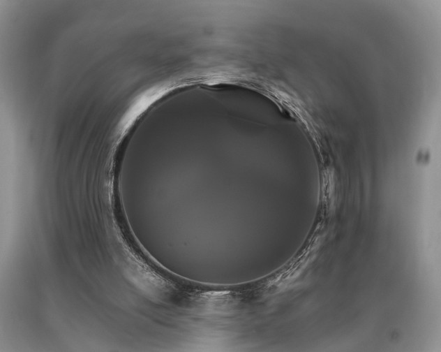 X0000091080054200708061345