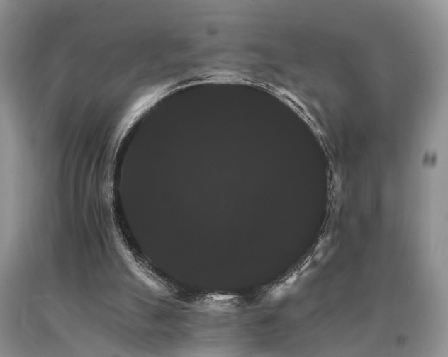 X0000091080055200708061345