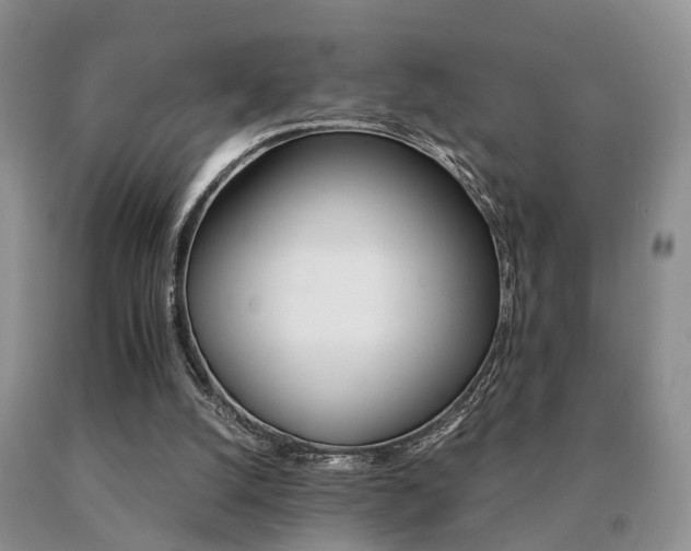 X0000091080056200708061345